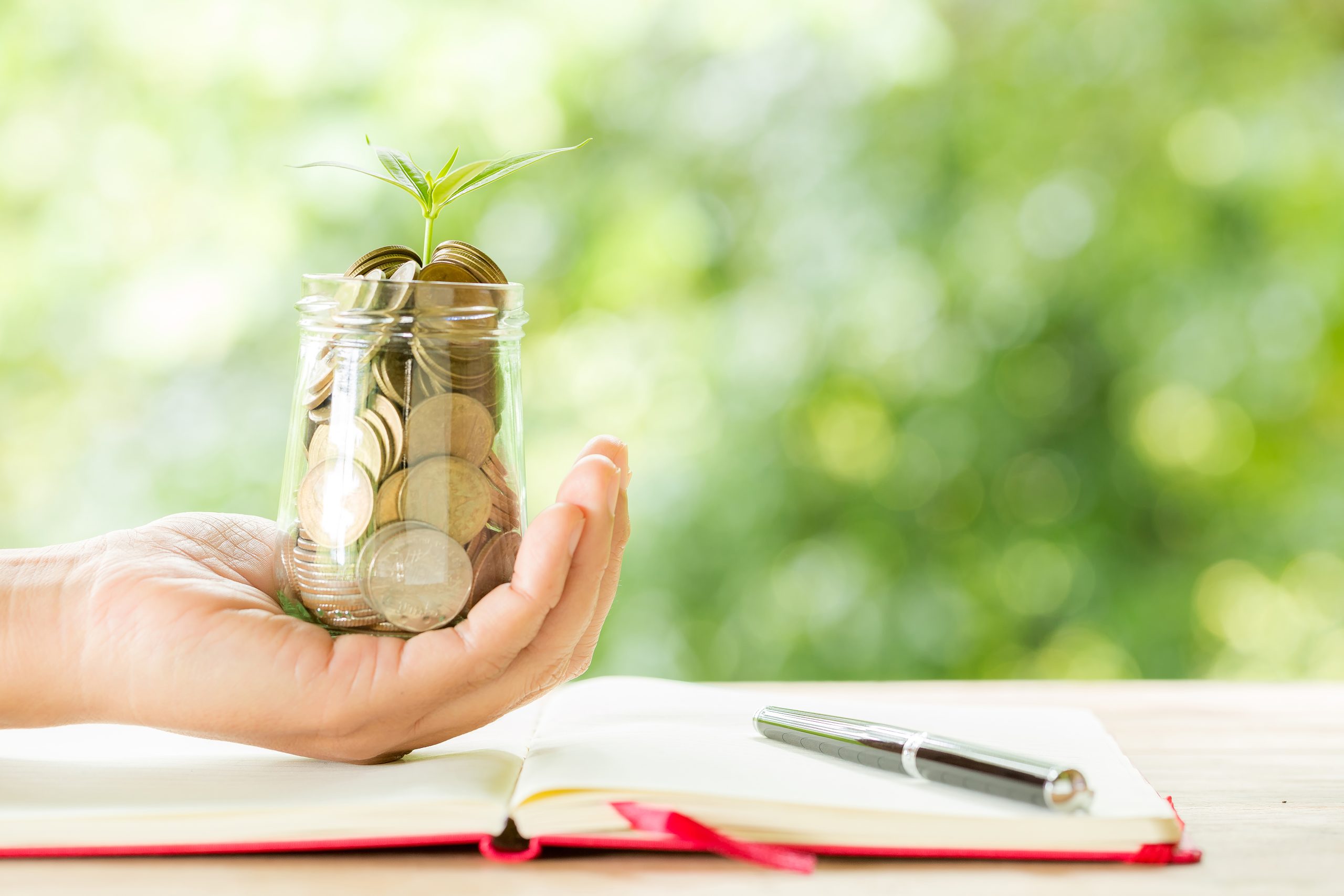A Beginner’s Guide to Seed Funding in India